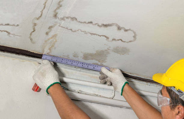 Reliable Basement Water Removal contractor in Wilson, LA by Water Damage Irwin